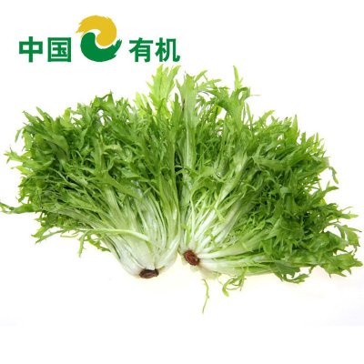 【顺意生蔬菜】顺意生 新鲜蔬菜非转基因生态