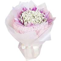 春舞枝 星座花束 鲜花速递 CAPRICORN 摩羯座