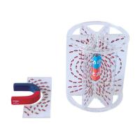 可普 立体磁感线演示器 教学仪器演示磁场方向 教学器材 实验仪器永磁 电磁场 物理实验器材【报价大全、价格、商铺】-苏宁易购开放平台