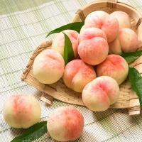 正宗阳山水蜜桃 无锡特产 水果桃子 6两左右*8