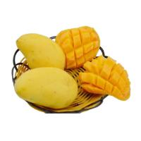 【沪澄】广西百色芒果 田东香芒 台农芒果 新鲜