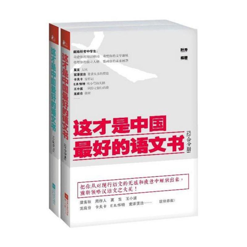 这才是中国最好的语文书(综合+小说分册)(套装共2册)