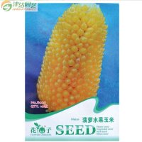 津沽园艺 黄色水果玉米种子 菠萝玉米种子 可生