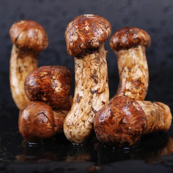 【贡天下特产食品专营店新鲜蔬菜】云南特产