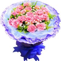花袭人 鲜花速递全国 19朵粉色康乃馨花束母亲