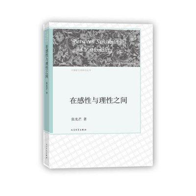 《在感性与理性之间》张光芒【摘要 书评 在线
