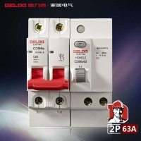 德力西 2P63A漏电保护断路器 漏电开关\/触电保