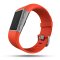 Fitbit Surge智能乐活全能运动手表 (S) FB501TAS-CN