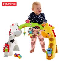 Fisher Price 费雪欢乐动物音乐健身器CCB70