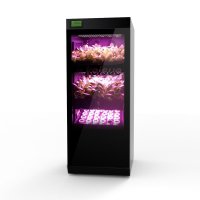 琪树科技 家庭垂直农场 水培养殖种植蔬菜 居家