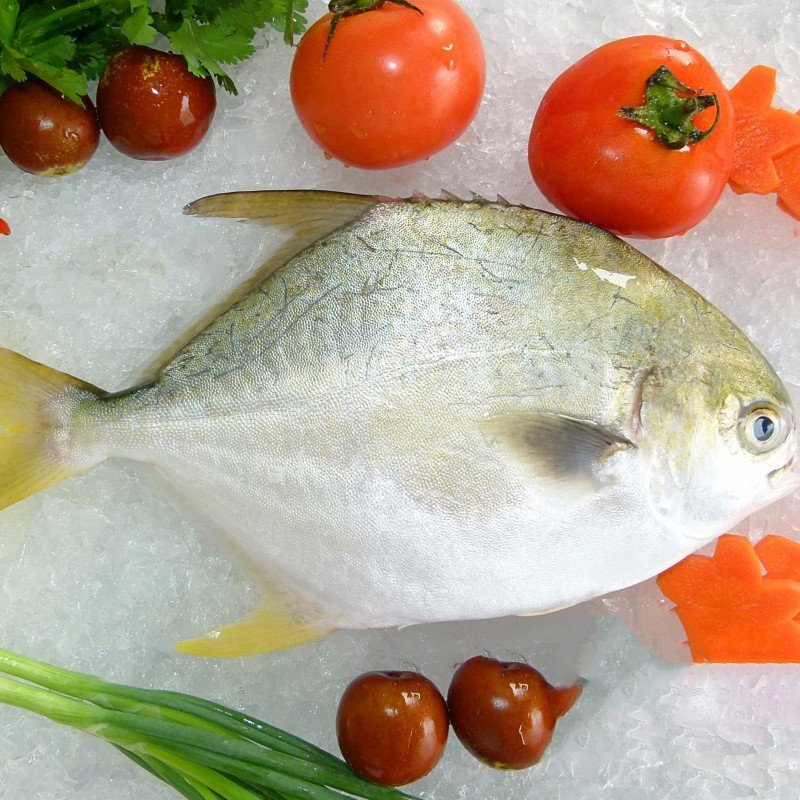怡鲜来 南海冷冻金鲳鱼 1条 400-500g 海鲜水产 生鲜食品