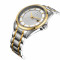 天王表（TIAN WANG）机械男表时尚商务钢带机械表男士手表GS5825 金色