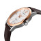 天王表(TIANWANG)手表正品 简约时尚男士石英表 防水学生手表腕表GS3922 咖色棕带