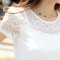 歌诺瑞丝2017夏季新款韩版大码修身百搭白色蕾丝打底衫短袖T恤-6885 3XL 白色