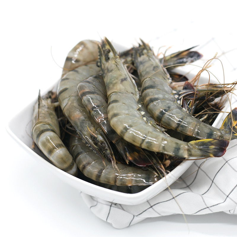 海洋岛HAIYANGDAO 马来西亚进口老虎虾800g （21-24头/盒 ）活冻黑虎虾 虾类 盒装 进口 海产冷冻虾