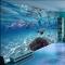 3D立体大型壁画壁纸海底世界海洋鱼儿童房游泳馆电视客厅背景墙纸_7 高档无缝珍珠（整幅）