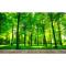 大型3D立体绿色树林电视背景墙纸客厅沙背景墙壁纸卧室风景_6 时尚艺术宣绒布（拼接）