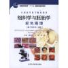 组织学与胚胎学彩色图谱(实习用书)(2版)