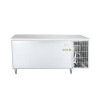 穗凌(SUILING) TZ0.4L2-C单温一室冷冻冷藏厨房冰柜商用不锈钢工作台保鲜冷冻厨房冷柜