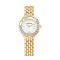 施华洛世奇(Swarovski)手表休闲时尚瑞士品牌钢带腕表 转运珠系列女士镶钻石英手表5261496 5297584.