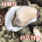 【活鲜】沈志雄刺身生蚝海蛎东山岛牡蛎 冷水蚝 刺身生蚝2.5kg (约35-42个) 顺丰包邮
