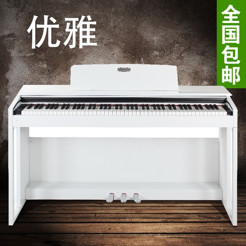 珠江艾茉森vp119电钢琴88键重锤智能家用专业初学者电子数码钢琴_3_8 VP119白色
