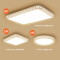 FSL 佛山照明 创意遥控灯分段调光调色LED客厅灯铁艺吸顶灯卧室灯灯饰 套餐3