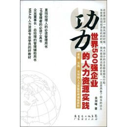 《功力:世界500强企业的人力资源实践》,金剑