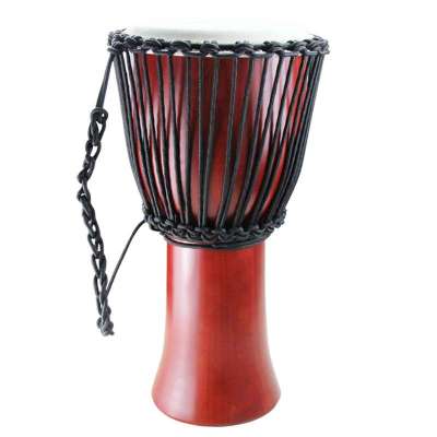 Golden Ton 10寸自学入门级拉丁打击乐器珍贝