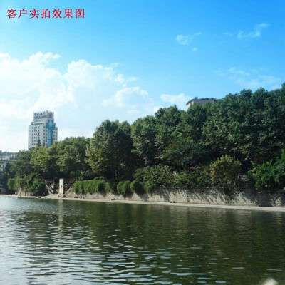 晨景 40.5MM 渐变镜套装 滤镜套装 单反相机镜