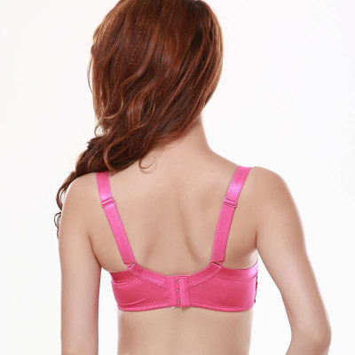 【新品】嘉莉诗旗舰店<em>胸罩</em>性感花色<em>加宽侧</em>收聚