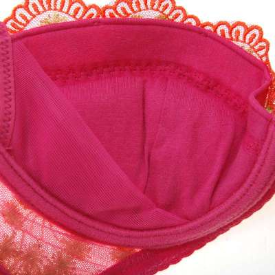 【新品】嘉莉诗旗舰店<em>胸罩</em>性感花色<em>加宽侧</em>收聚