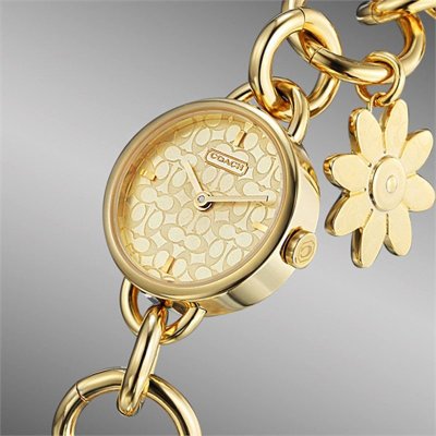 COACH 蔻驰 潮流时尚<em>镀金女士手表</em> 手链式珠
