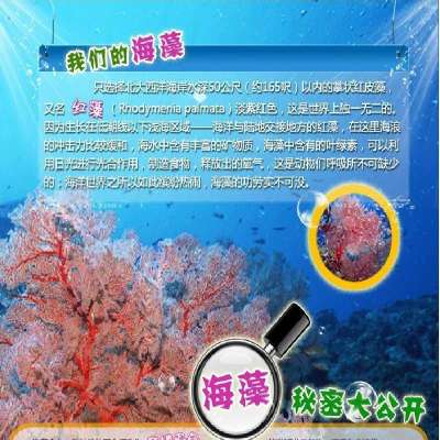 dogstory 宠物红海藻粉 500g