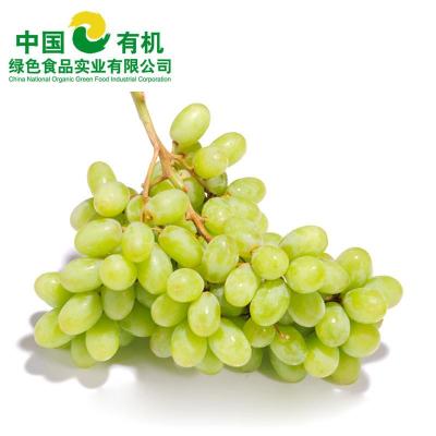 中国有机绿色食品 进口水果 美国青提 500g