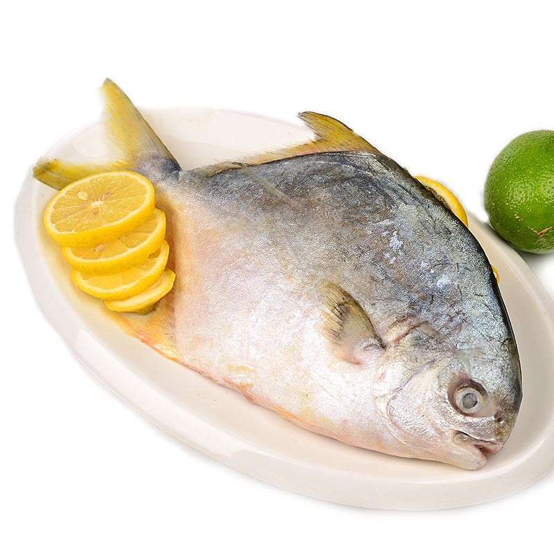 悦海上品 生态金鲳鱼