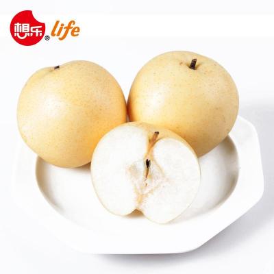 【想乐生活】进口优质智利嘎啦果2个装