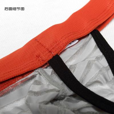 湛蓝内衣 男用<em>丁字</em>裤性感<em>内裤男</em>T裤条纹网纱透