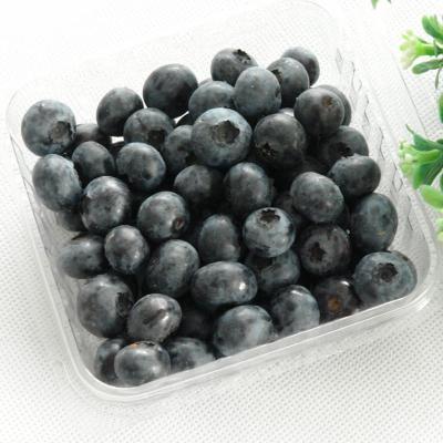长白工坊 长白山鲜采蓝莓鲜果 蓝莓125克\/盒 顺
