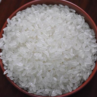 稼贾福 谷尊和盛稻5kg 东北大米 香米五常米
