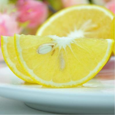 【想乐生活】【想乐生活】澳橙一份【报价、价