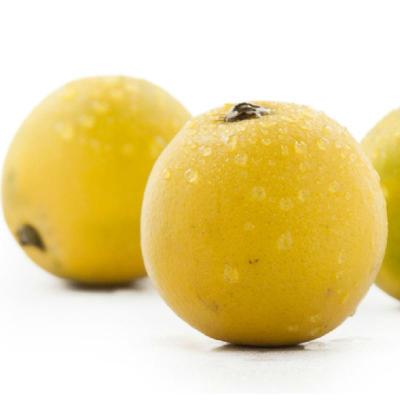 【想乐生活】【想乐生活】澳橙一份【报价、价