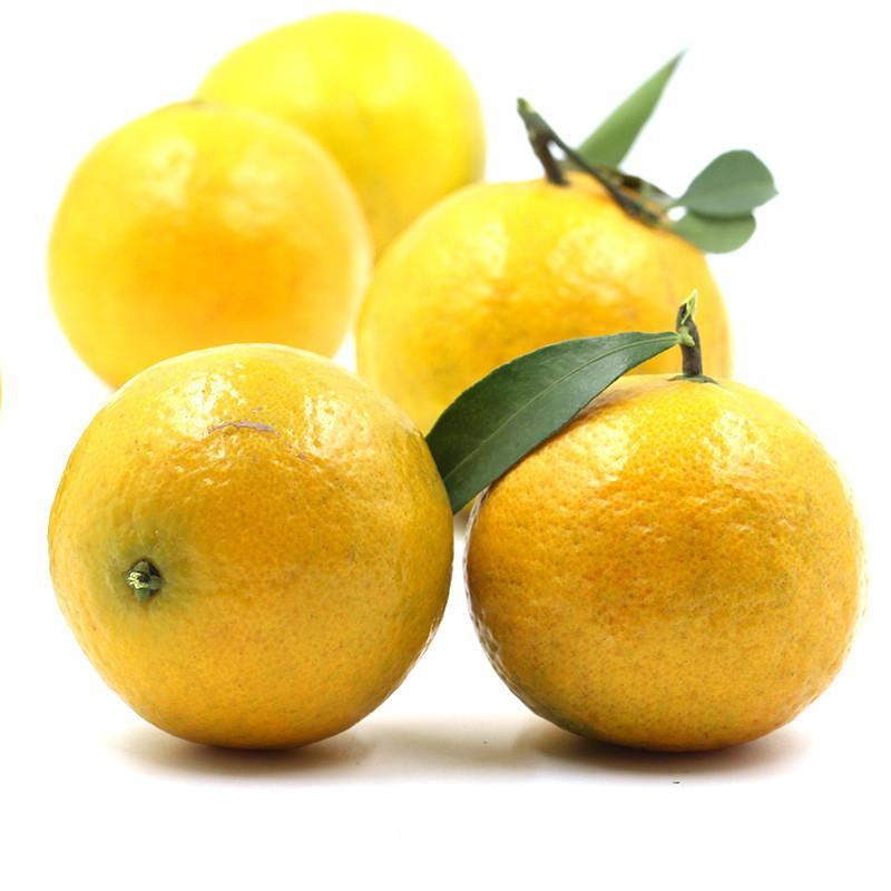 皇帝柑上火吗_柑类水果有哪些_橙子类水果有哪些