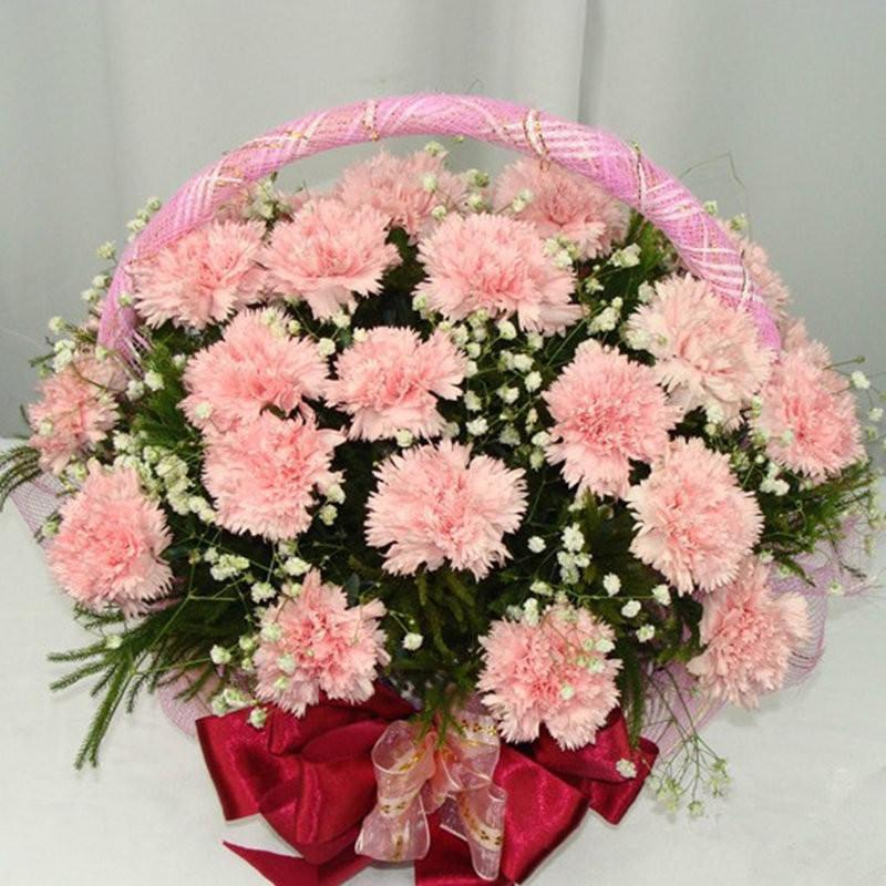 花袭人 鲜花速递全国 33朵康乃馨鲜花祝福花篮 教师节花束 感恩节花束