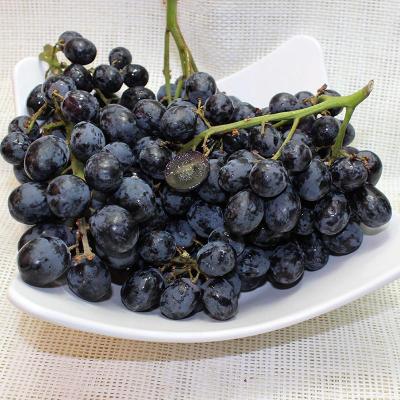 进口美国无籽黑提2斤装