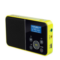 熊猫(PANDA) 数码音响播放器DS-116 黄 插卡音箱 一键录音立体声收音机