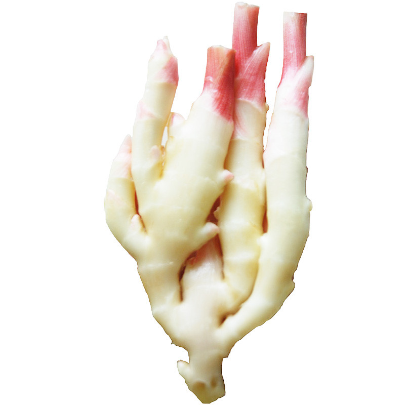 超级新品 嫩姜250g 仔姜 嫩姜 新鲜蔬菜as