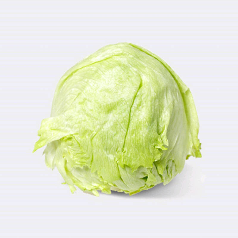 球生菜 5斤 圆生球 西餐色拉 新鲜蔬菜 产发qq