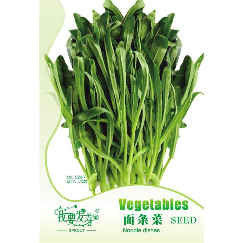 我要发芽 蔬菜种子 面条菜种子 野生菜 耐寒 生长快 生食 涮火锅 腌渍