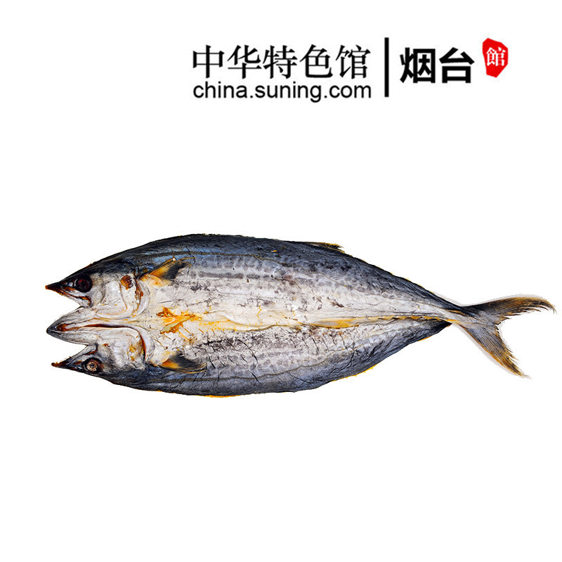 【中华特色】淡干鲅鱼干约620g1条装 咸马鲛鱼干海鲜干货咸鱼干风干